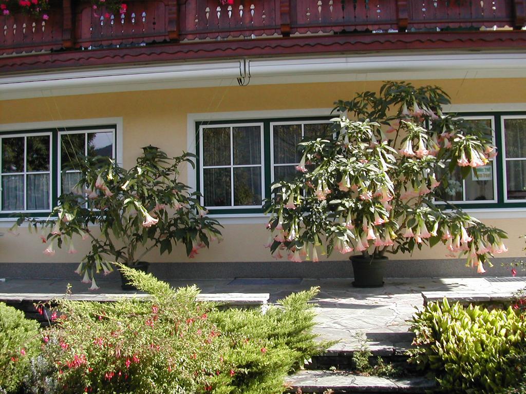 Pension Salzburger Hof Fuschl am See Exteriér fotografie