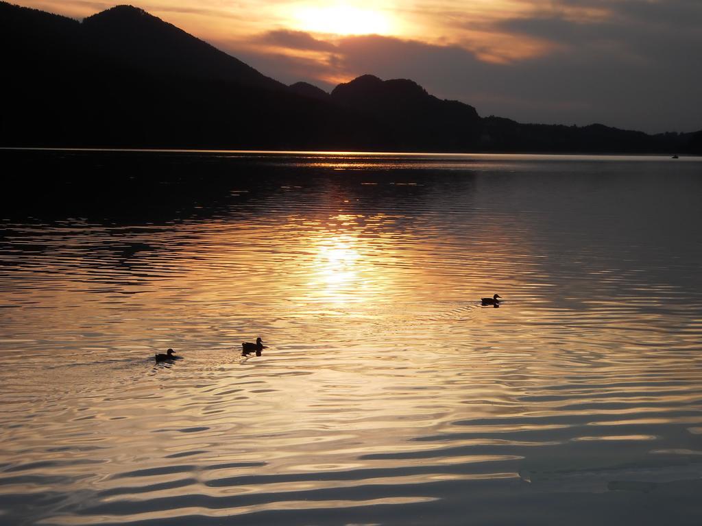 Pension Salzburger Hof Fuschl am See Exteriér fotografie